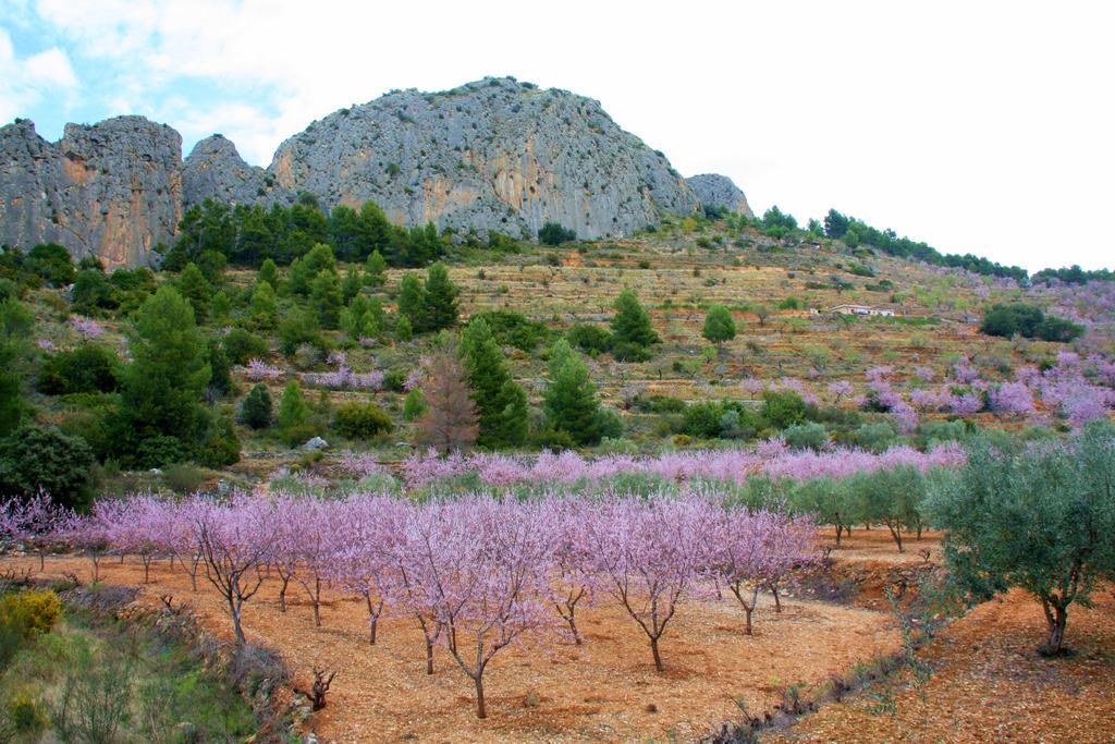 Villa Pico - Charming B&B Sella Εξωτερικό φωτογραφία